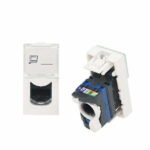 OK-Net-Rozeti-Paneli-for-1-Kiston-5jpg - Innocom - ქსელური მოწყობილობები & IT აუთსორსინგი - innocom - ქსელური მოწყობილობები & it აუთსორსინგი