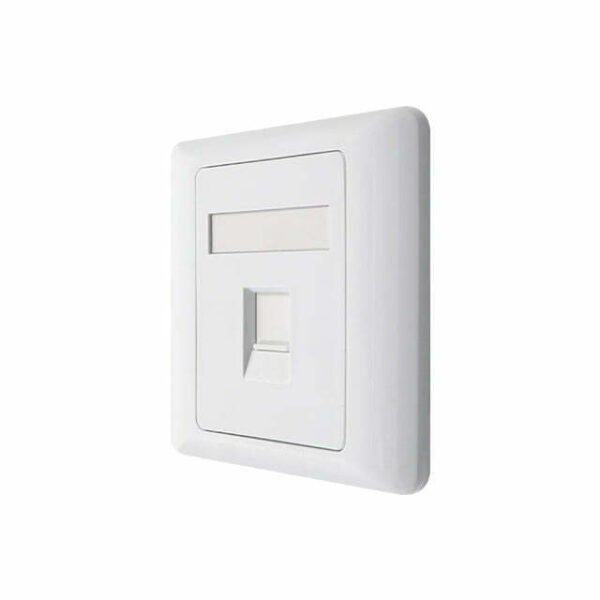 wall panel with 2 pieces of ftp cat5e keystone jack 2 1jpg - innocom - ქსელური მოწყობილობები & it აუთსორსინგი