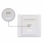 wall panel with 2 pieces of ftp cat5e keystone jack 4 1jpg - innocom - ქსელური მოწყობილობები & it აუთსორსინგი